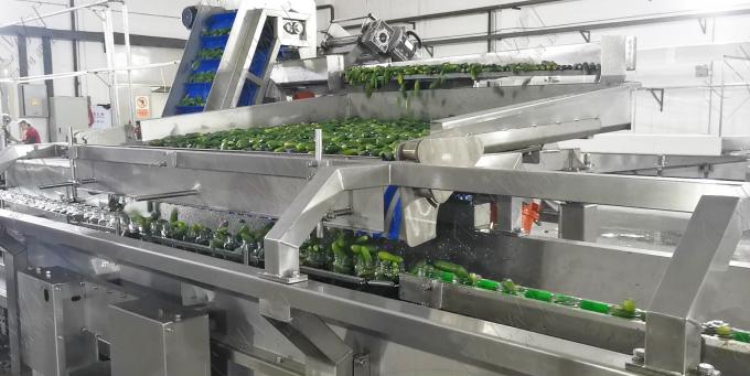 Automatic Canned cucumber Vegetable Cans  production line Equipment Customized 0
