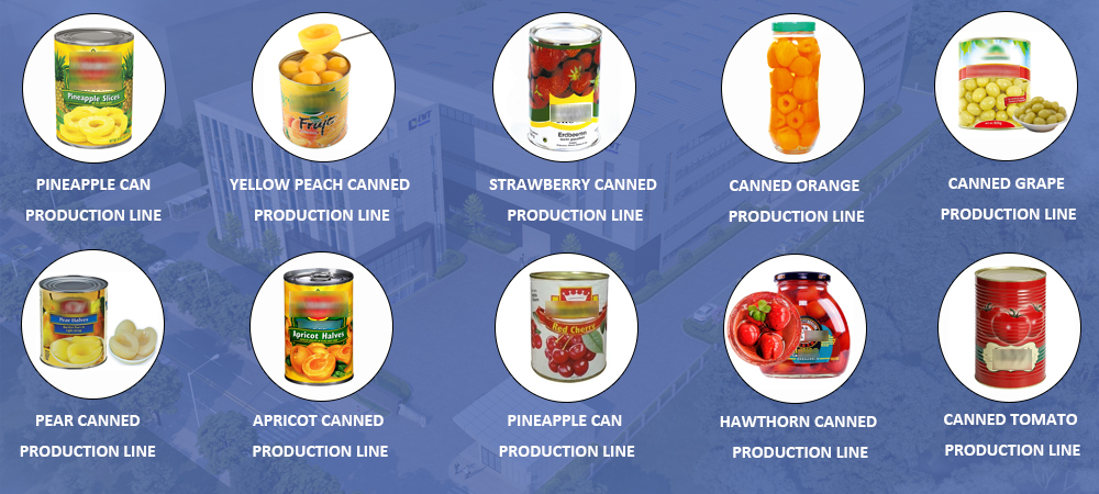 Leadworld Strawberry Fruit Canned Automatic Production Line Canning Machine