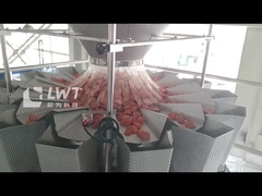 Auto Thermoforming Vacuum Packing Machine Complete Sachet Packaging Line