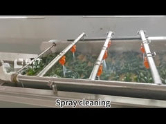 Automatic Canned cucumber Vegetable Cans  production line Equipment Customized