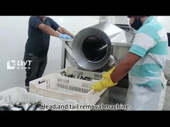 Canned fish production line  Yellow croaker canned processing equipment