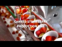 How to realize the automatic production line of canned strawberries