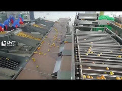 How does the yellow peach canned production line equipment operate?