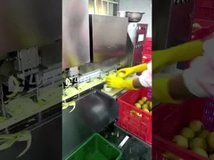 Leadworld Canned Fruit Production Line Canned Pear Processing Line