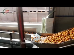 Leadworld Canned Fruit Production Line Canned Orange Processing Line