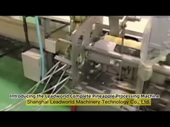 How to produce canned pineapple on the pineapple canning production line