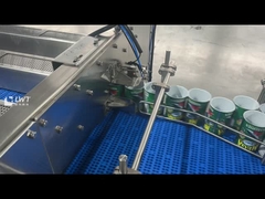 Sardines canned food drainer