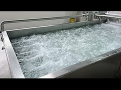 Vegetable Washing Machine