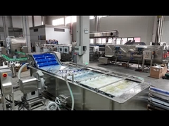 Fruit and vegetable bubbling cleaning machine