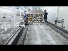 Canned Herring Trout Herring Tunas Crab Fish Production Line Machine Turnkey Project