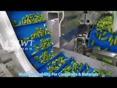 LWT Automatic Vibration Filling Machine for Cucumber Fruit Canned Food in Glass Jar Tin Can