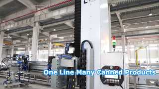 Stable and Cost-Effective Single-Column Palletizer