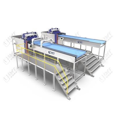 Automatic Basket Loader Unloader for Retort Sterilization Systems