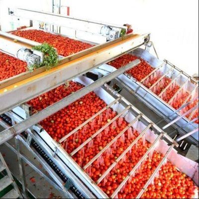 Multifunctional Canning Production Line For Tinned Tomatoes From Leadworld Industrial